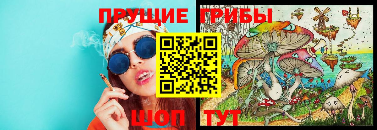 Псилоцибиновые грибы ЛСД Узловая