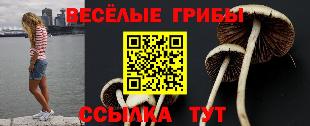 Узловая  Галлюциногенные грибы мухоморы  Вход с VPN 